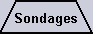 Sondages