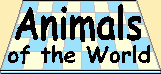Animals of the World (interactive educational game)
