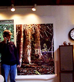 Museums and art shows abound. - USA - Travel to the US of A