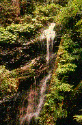 Ecoles du Monde - 