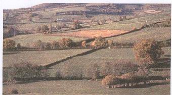 C'est �a un bocage ? -  Ecoles du Monde - 