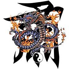 Chinese Character is all looks like.. Others - Learning Chinese