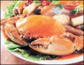 This is crab.I like it*_* - Others - Learning Chinese