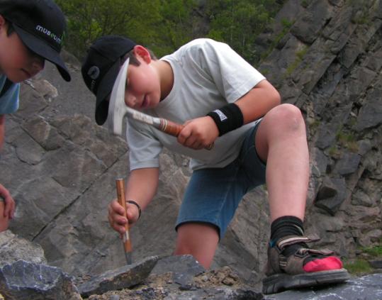 Alex au boulot... -  Nature - 