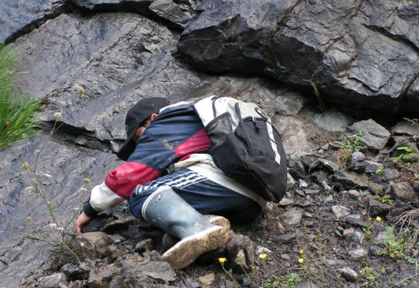 la t�che est dure....I.. Nature - 