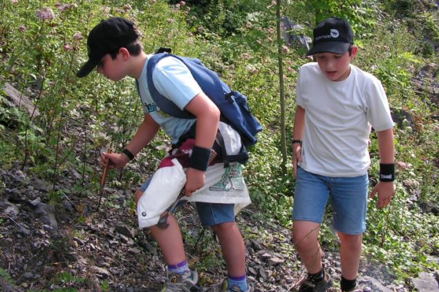 Prospection aux abords.. Nature - 