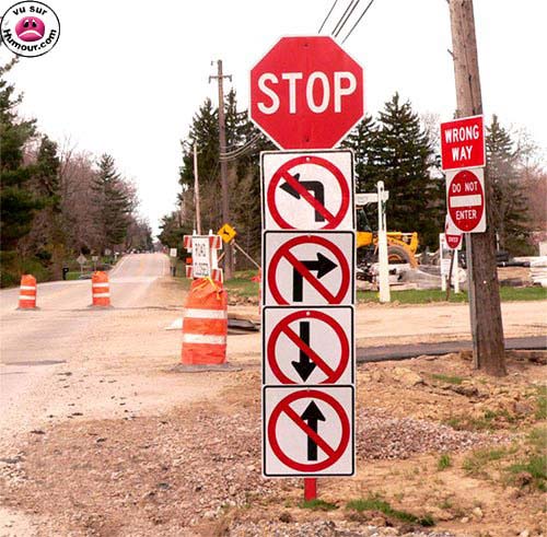 Celle la,faut quand m.. Nature - 