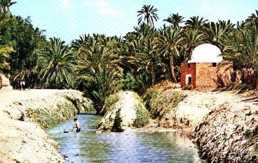  Tunisie - 