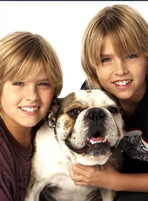 Dylan and Cole with Bu.. Cinema, TV - 