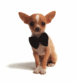 snazzy -  Cinema, TV - 